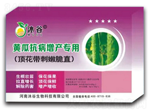 SϿa(chn)(zhun)ײ-