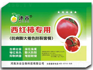 t(zhun)ÿɫײ-