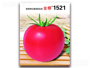 1521-ۼtѷN-i