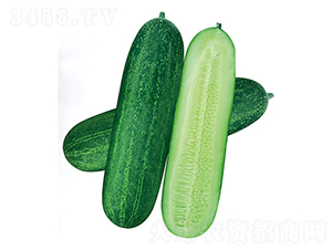 Gʿ̖-ϷN-