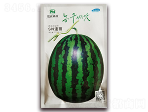 sn-ϷN-˹