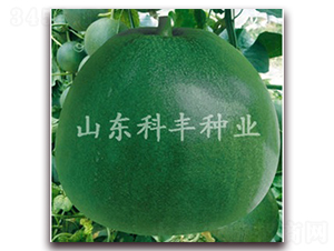 䌚-ϷN-SNI(y)