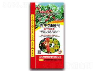 ӌ(zhun)÷-
