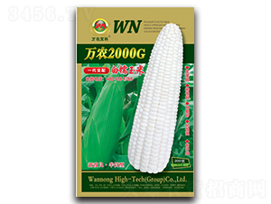 萬(wàn)農(nóng)2000G-糯玉米種子-萬(wàn)農(nóng)高科