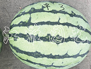 ׿Խ3̖(ho)-ϷN-@ˇ