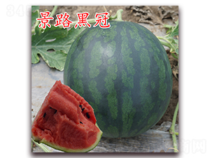 ·ڹ-ϷN-·NI(y)