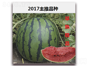 OƷ-ϷN-·NI(y)