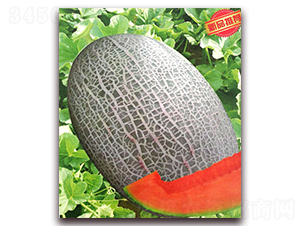ѩ̖ͮ(ho)-ϷN-