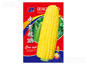 SŴ309һs-׷N-ԴrI(y)