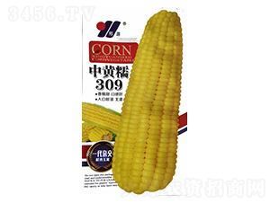SŴ309ɫb-׷N-ԴrI(y)