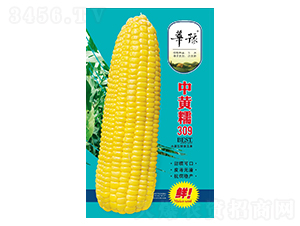 SŴ309-׷N-ԴrI(y)