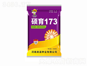 碩育173【4300?！?玉米種子-商道種業(yè)