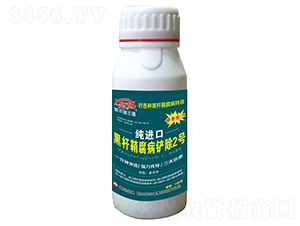 ΢-M(jn)ںڗUʸP2̖(ho)-S