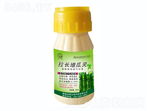 L(zhng)`-(bio)