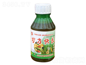 L(zhng)-Rr(nng)