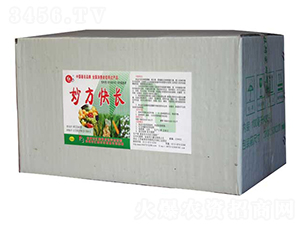 L(zhng)䣩-Rr(nng)