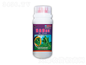 mÏ(qing)ԭ{-