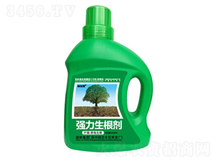 1000mlǤ塤-ֱķ-Tַ