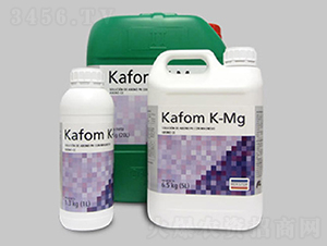 Kafom K Mg ֲﱣoT-~˹