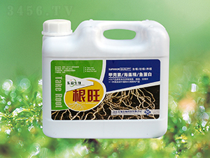 生根養(yǎng)根肥-根旺（壺）-東富生物