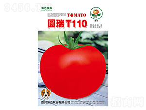 AT110-ѷN-~(gu)H