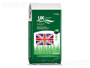 ӢUK-CardiffϷG1-Ϸ 