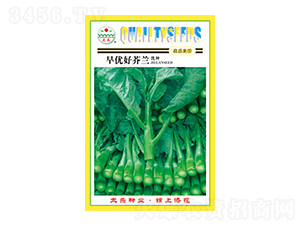 mN-烞(yu)ým-̫(l)NI(y)