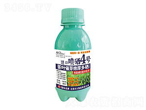 100˲~ѿۺMڇ4̖-r(nng)